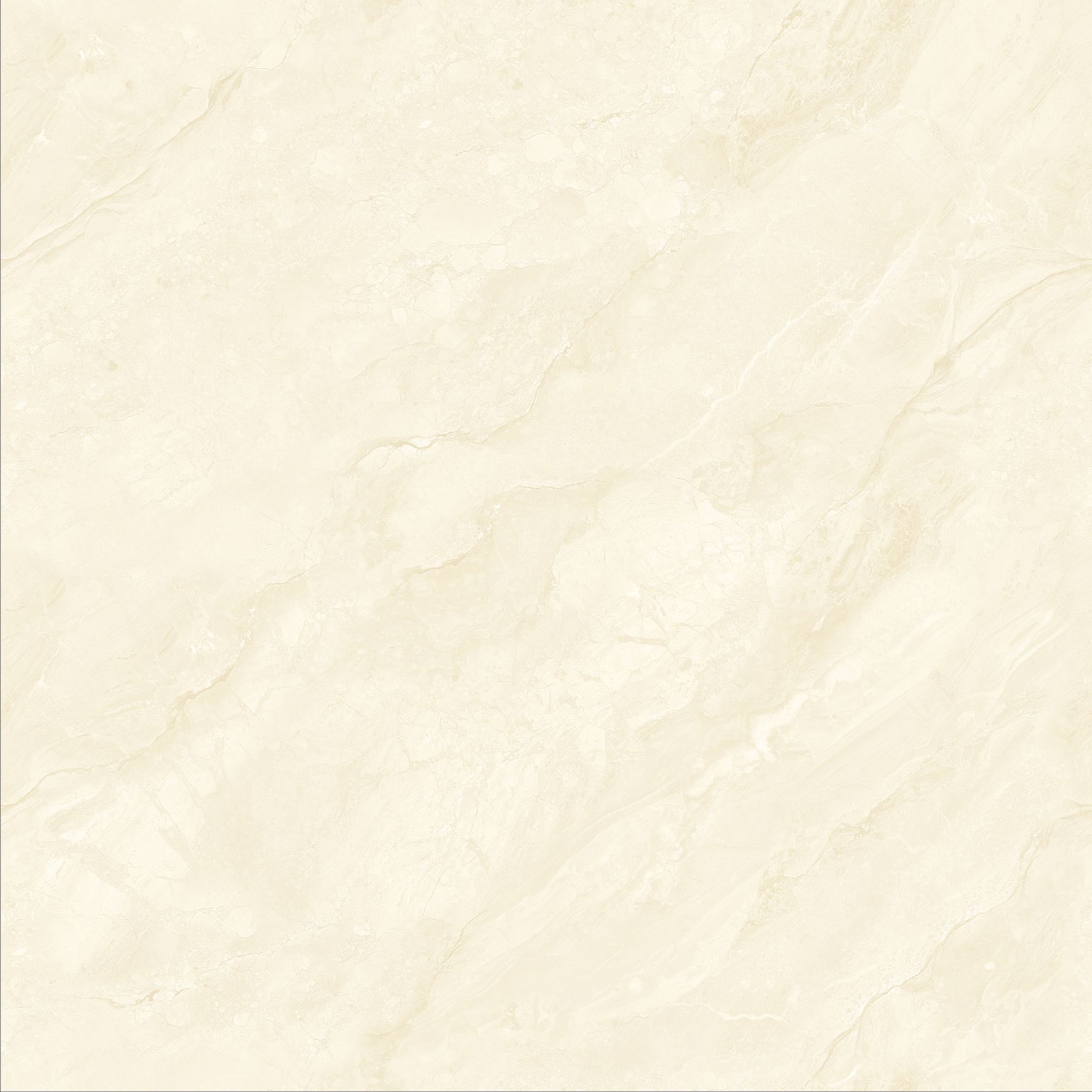BL88051BS BL88051BS